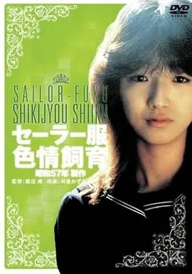 历史剧情片《山河故人录》海报